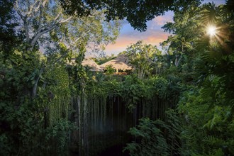 Mexico, Ik Kil Cenote near Merida Yucatan Peninsula in Archeological Park near Chichen Itza,