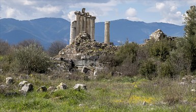 Excavation site site of the ancient city of Aphrodisias, today's city of Geyre, Karacasu, Aydin,