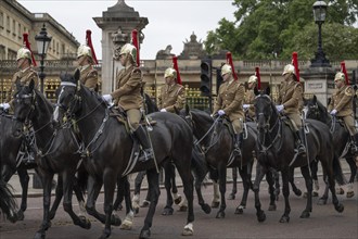 Military riders, horses, Trooping the colour, military parade in June in honour of the British