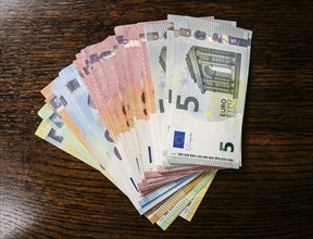 Money compartments, euro notes, Symbol photo, Money, Wealth