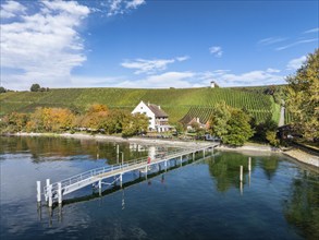 Aerial view of the jetty at the historic Rebgut Haltnau with catering business, outdoor catering