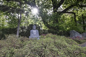 Japanese Garden, Bad Langensalza, Thuringia, Germany, Europe