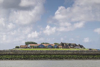 Hallig Hooge, Backenswarft, North Frisia, Schleswig-Holstein, Germany, Europe