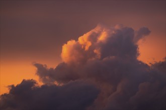 Thundercloud illuminated by the evening sun, Germany, Europe