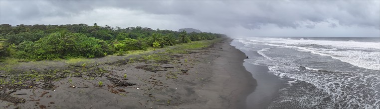 Aerial view, beach and sea, coast with rainforest, Tortuguero National Park, Costa Rica, Central