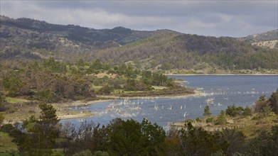 A lake surrounded by trees and green hills in cloudy weather, Gadouras Reservoir, Rhodes,