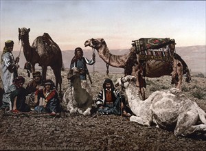 Camels stopping in the desert, Holy Land, West Bank, Israel, c. 1895, Historic, digitally restored