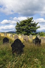 Overgrown old gravestones in a meadow, rows of graves between dry grasses in a cemetery, St Garmons