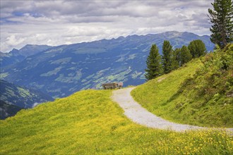 Hiking trail to a bench with a marvellous view of the mountains and surrounding meadows, Penken,