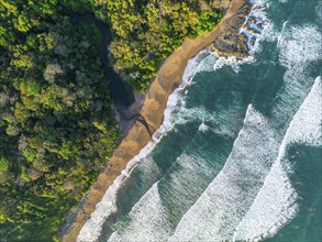 Aerial view, top-down, rainforest, sandy beach and coast with waves, Playa Cocalito, Puntarenas,