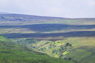 Farms over North Pennines, Cumbria, Durham, Northumberland, North Yorkshire, England, United