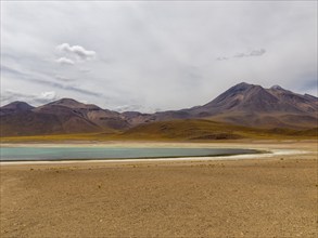 Highland lagoons Atacama Desert, Chile, South America