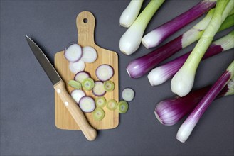 Spring onions and onion rings with a knife on a wooden board, spring onion