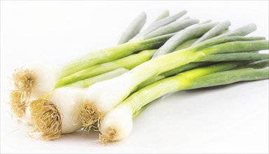 Vegetable, spring onion or spring onion, also known as winter onion, Allium fistulosum