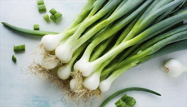 Vegetable, spring onion or spring onion, also known as winter onion, Allium fistulosum