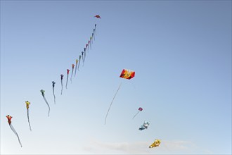 Many colourful wind birds in the blue sky, Drachenwiese, Norddeich, North Sea, Lower Saxony,