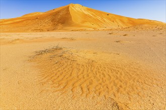 Highest sand dune in the world, Hamlet Jedelah, Rub al Khali desert, Dhofar province, Arabian