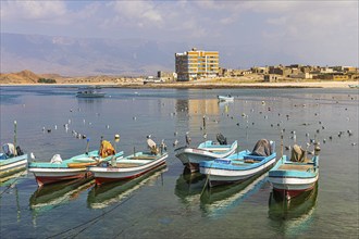 Fishing boats anchored in the harbour of Mirbat, Dhofar Province, Arabian Peninsula, Sultanate of