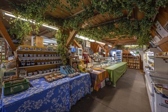 Organic shop in the former Frohnhofer Kornmühle, Frohnhof, Eckental, Middle Franconia, Bavaria,