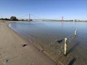 View from the left bank of the Rhine, western bank of the Rhine, of an earth-anchored suspension