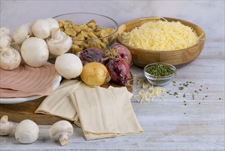 Various ingredients for cooking, including mushrooms, cheese, onion and ham on a table