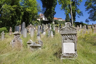 Jewish cemetery Haigerloch, created 1803, gravestones, inscription, Jewish community, Judaism,