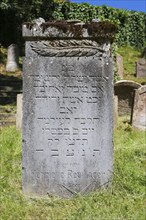 Jewish cemetery Haigerloch, created 1803, gravestones, inscription, Jewish community, Judaism,