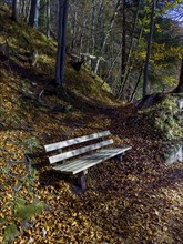 Wooden bench, autumn atmosphere at Hechtsee lake near Kufstein, Tyrol, Austria, Europe