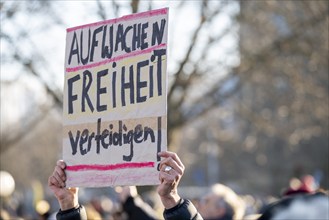 Pictures taken during the demonstration Haltung zeigen! against Nazi deportation plans of the AfD