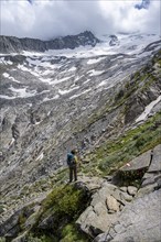 Mountaineer on hiking trail with blooming alpine roses, mountain landscape with rocky mountains and