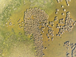 Detail of marshland near Sanlúcar de Barrameda. Aerial view. Drone shot. Cádiz province, Andalusia,