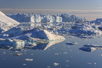 Icebergs and ice floes reflected in the water, sunny, summer, Jakobshavn Glacier and Icefjord,