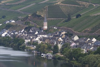 Zell an der Moselle, Merl Mosel district, Cochem-Zell district, Rhineland-Palatinate, Germany,