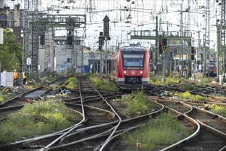 Regional train arriving at Cologne Central Station, Cologne, North Rhine-Westphalia, Germany,