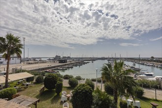 Inviting harbour with many boats, palm trees and a garden under a cloudy sky, Frontera