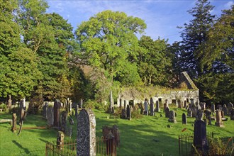 A cemetery with old gravestones and ruins, surrounded by green trees and meadows, on a sunny day,