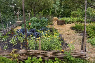 Old vegetable garden, self-sufficient, grow, plant, traditional, Scandinavian, tree, roundabout,