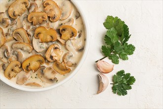 Champignons in creamy garlic sauce, with herbs and spices, gravy, sauce, no people