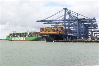 MSC Istanbul and Evergreen Ever Ace container ships, Port of Felixstowe, Suffolk, England, UK