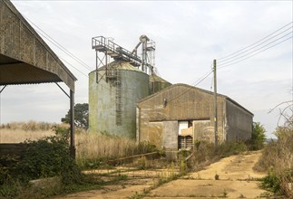 Grain storage silos and asbestos barn in farmyard, Alderton, Suffolk, England, UK