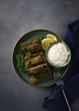 Dolma, cabbage rolls, grape leaves with filling, white sauce, lemon and herbs, rustic, selective