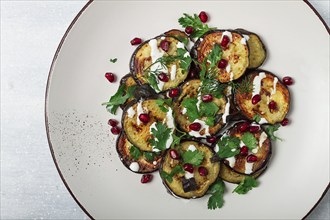 Fried eggplant, with white sauce, pomegranate seeds, top view, no people