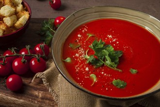 Tomato soup, with herbs and spices, homemade, no people