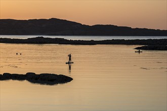 Stand up paddling, Sup, sunset, coast at Fidden, Isle of Mull, Scotland, United Kingdom, Europe