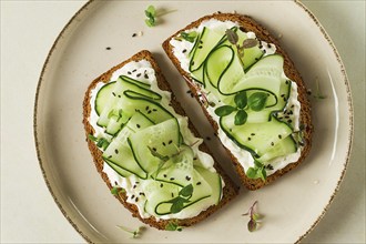 Breakfast, cereal bread sandwiches, cream cheese, sliced cucumber, with micro greenery on a light