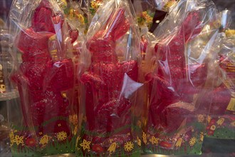 Red rabbit figurines wrapped in cellophane, in the shop window of a confectionery, Bavaria,