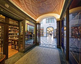 Specks Hof shopping arcade, interior view, Leipzig, Saxony, Germany, Europe