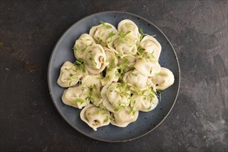 Dumplings with pepper, salt, herbs, microgreen on black concrete background. Top view, flat lay,