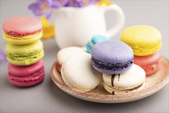 Multicolored macaroons with spring snowdrop crocus flowers on gray pastel background. side view,