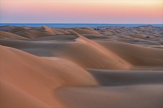 Sand dunes in the desert, near Duqm, Oman, Asia